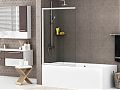 WasserKRAFT Main 41S02-100 Стеклянная шторка для душа
